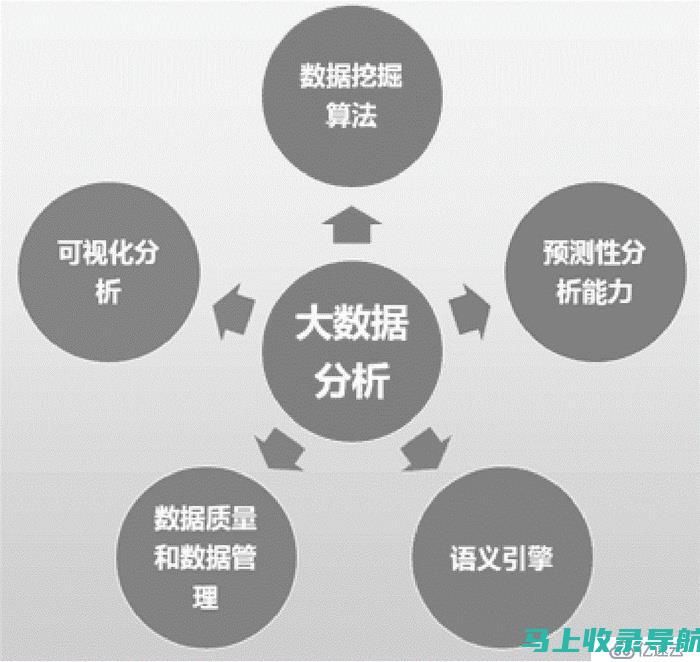 掌握关键数据分析：提高SEO效果的精准监测及调整方案